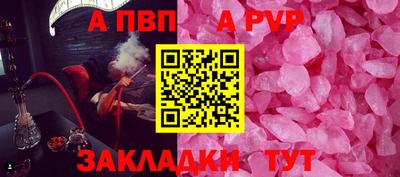 спиды Новодвинск