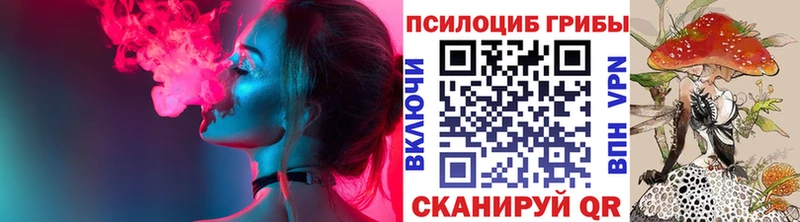 Галлюциногенные грибы ЛСД  mega маркетплейс  Приморско-Ахтарск 